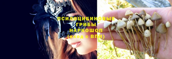 молекула духа Абинск