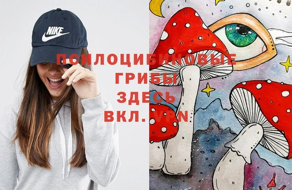 спайс Абдулино
