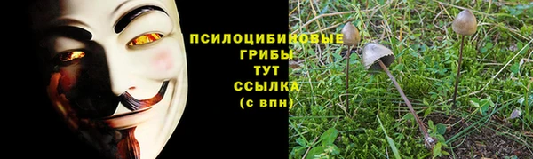 a pvp Алексин
