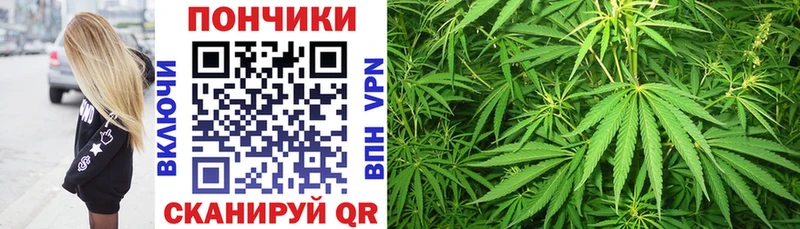 где продают наркотики  Королёв  Марихуана Amnesia 